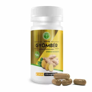 Tenmag Gyömbér