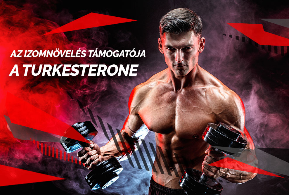 Az izomnövelés támogatója: a Turkesterone
