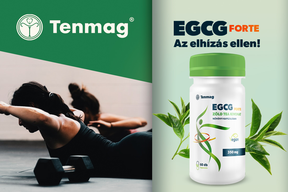 EGCG-vel az elhízás ellen