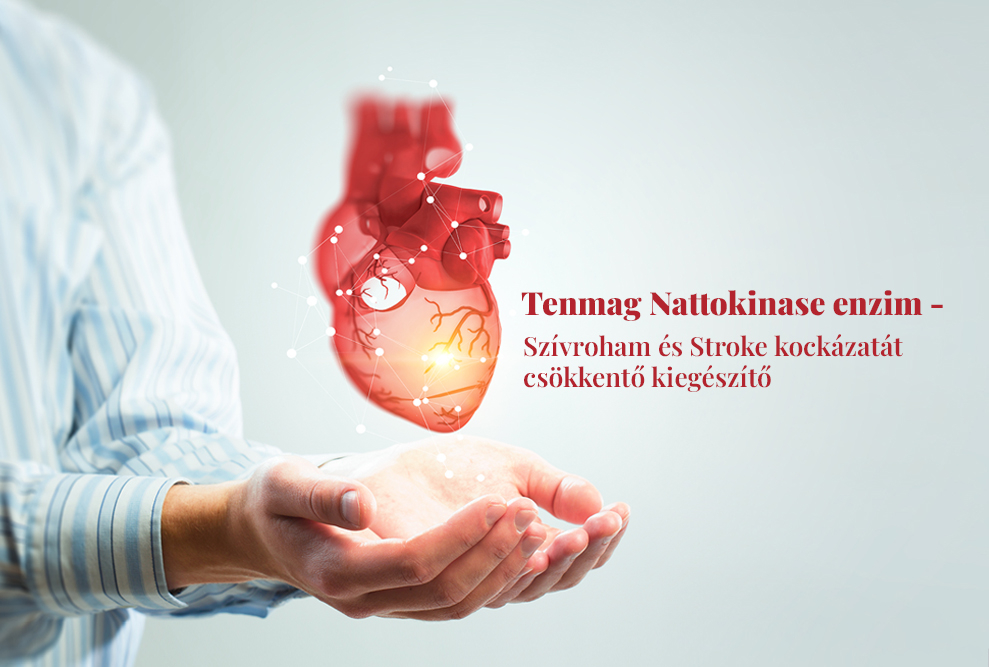 Tenmag Nattokinase enzim - Szívroham és Stroke kockázat csökkentő kiegészítő