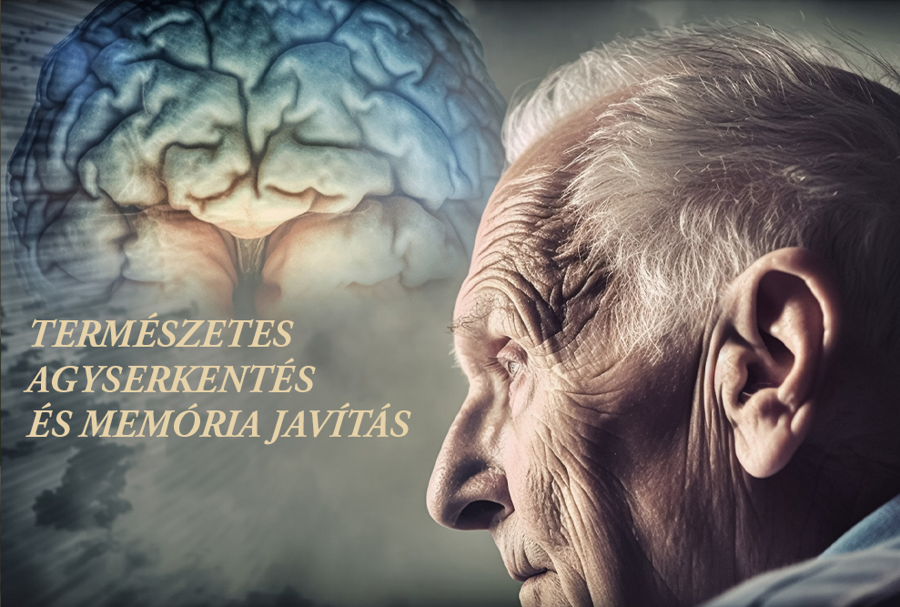 Természetes agyserkentés és memória javítás