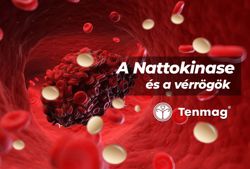 A Nattokinase és a vérrögök 