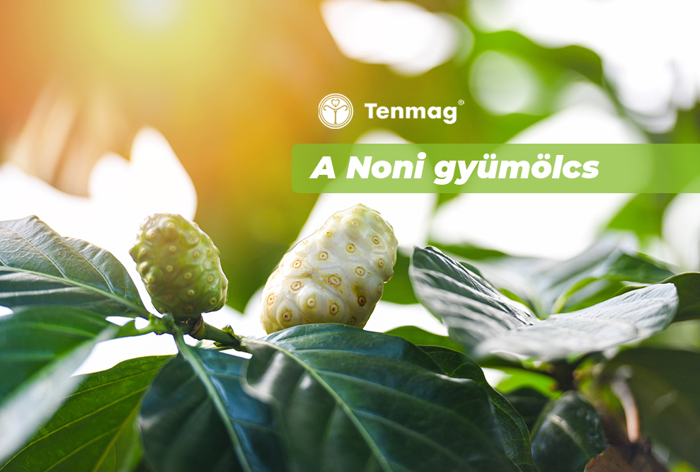 A Noni gyümölcs