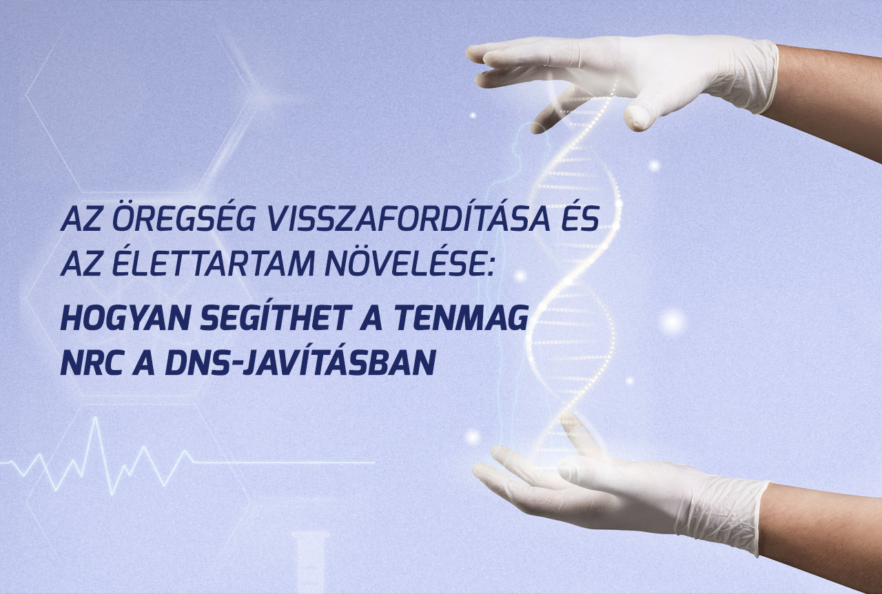 Az öregség visszafordítása és az élettartam növelése