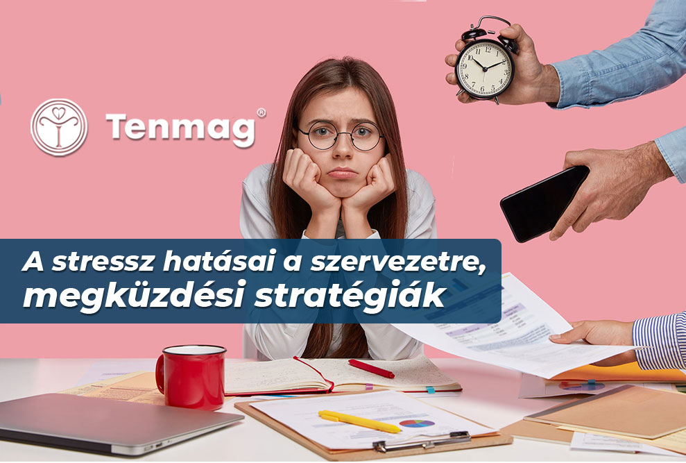 A stressz hatásai a szervezetre, megküzdési stratégiák