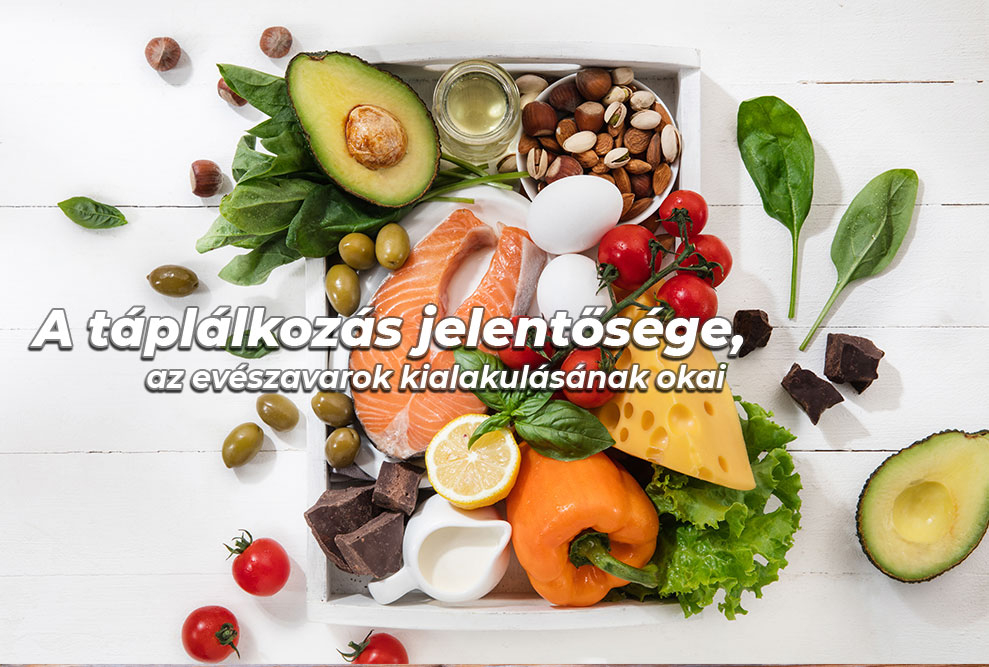 A táplálkozás jelentősége, az evészavarok kialakulásának okai 