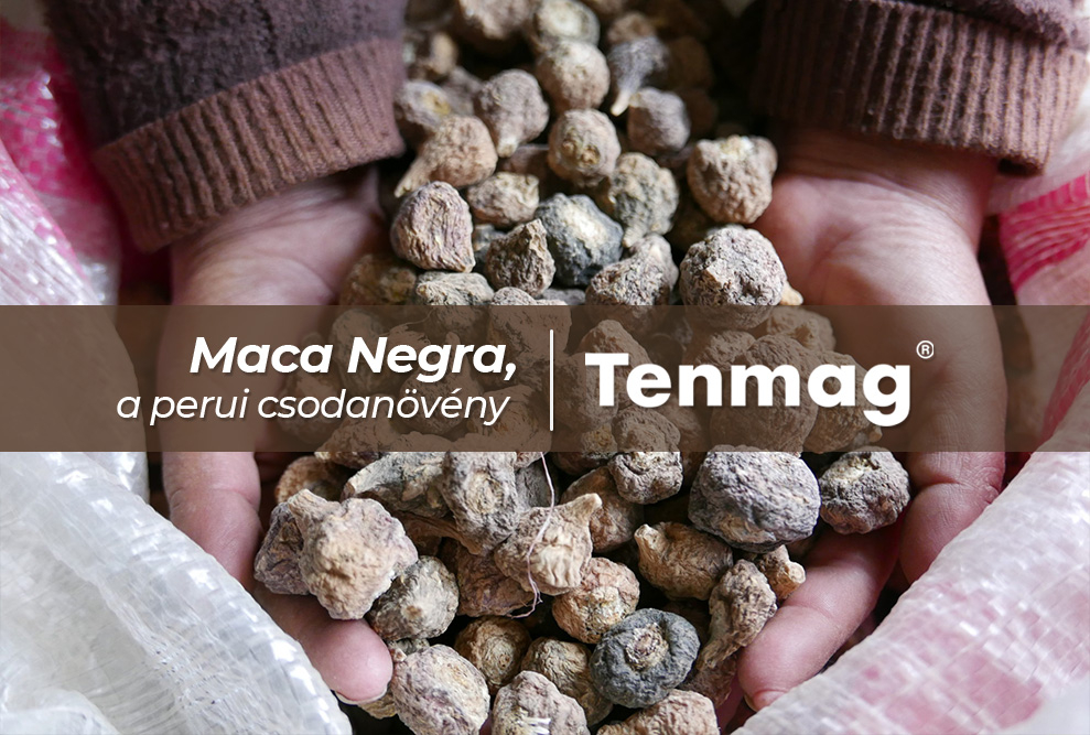 Maca Negra, a perui csodanövény