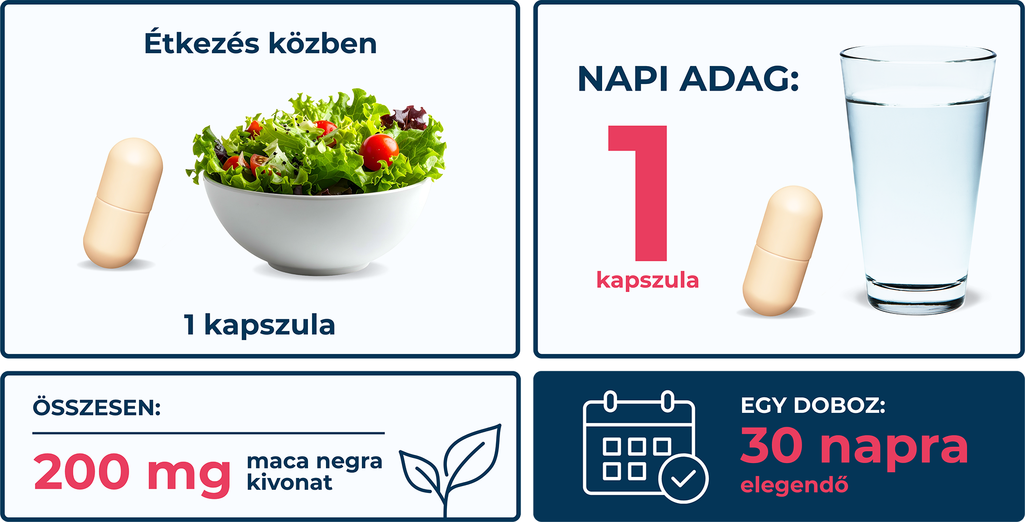 Tenmag Maca Negra Forte adagolási útmutató