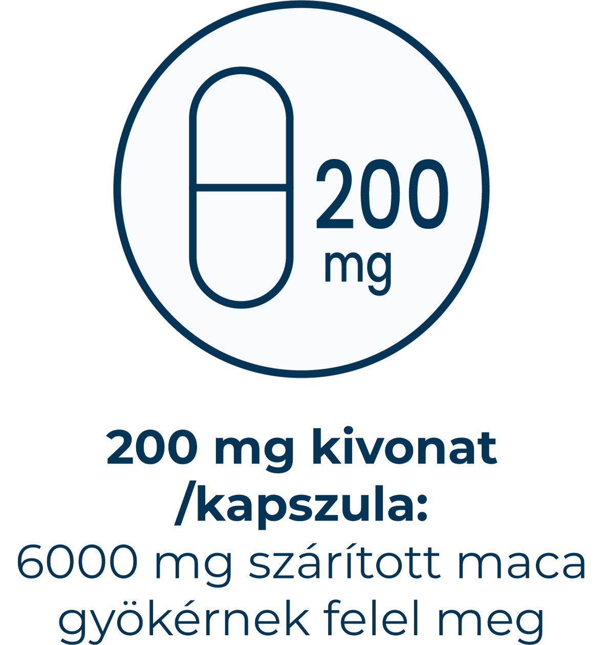 6000 mg szárított gyökérnek megfelelő